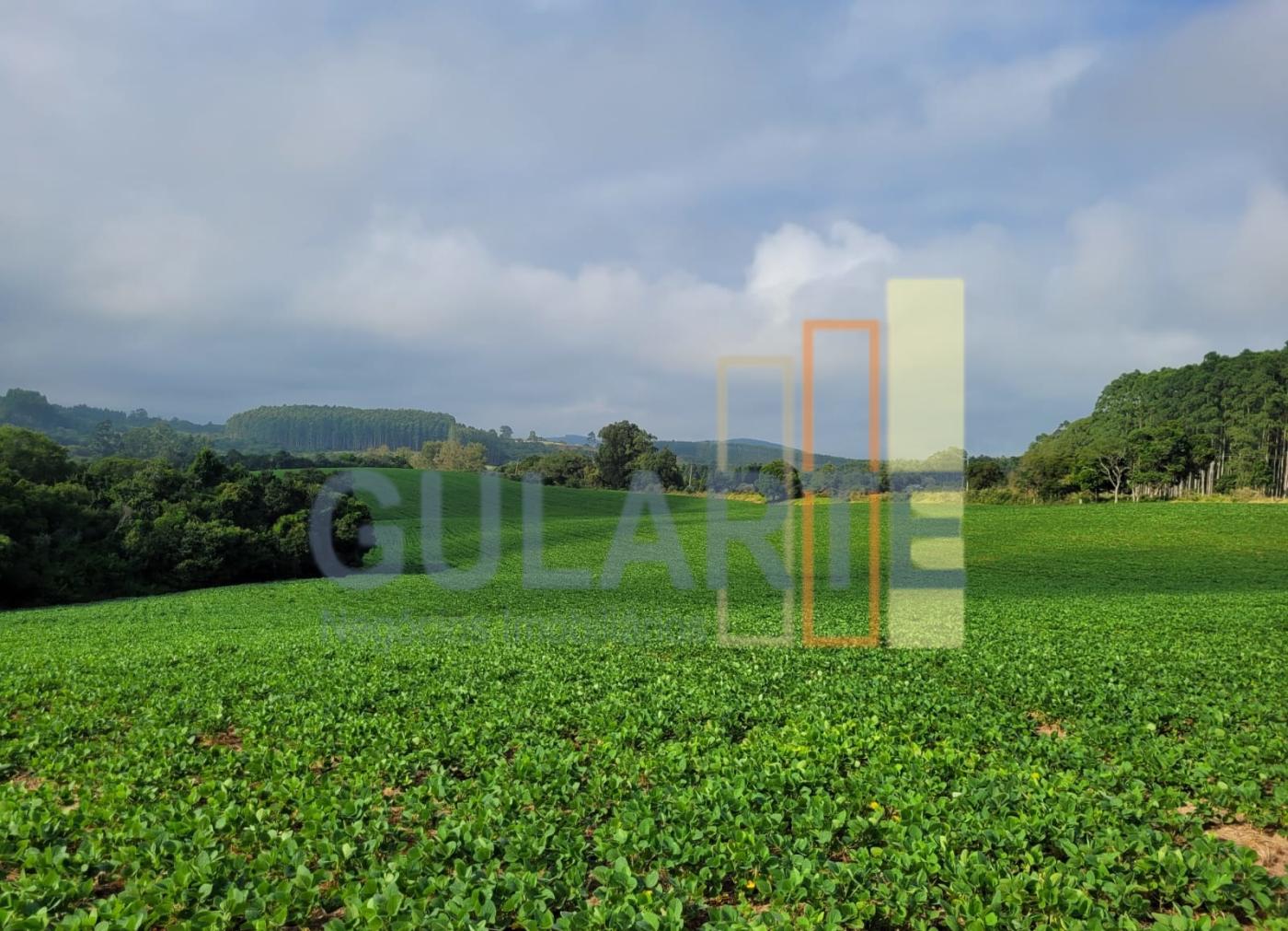 Fazenda, 62 hectares - Foto 5