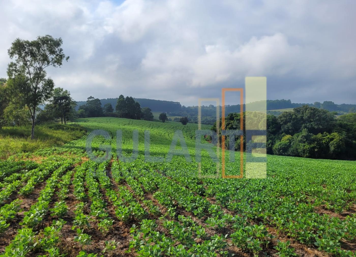 Fazenda, 62 hectares - Foto 7