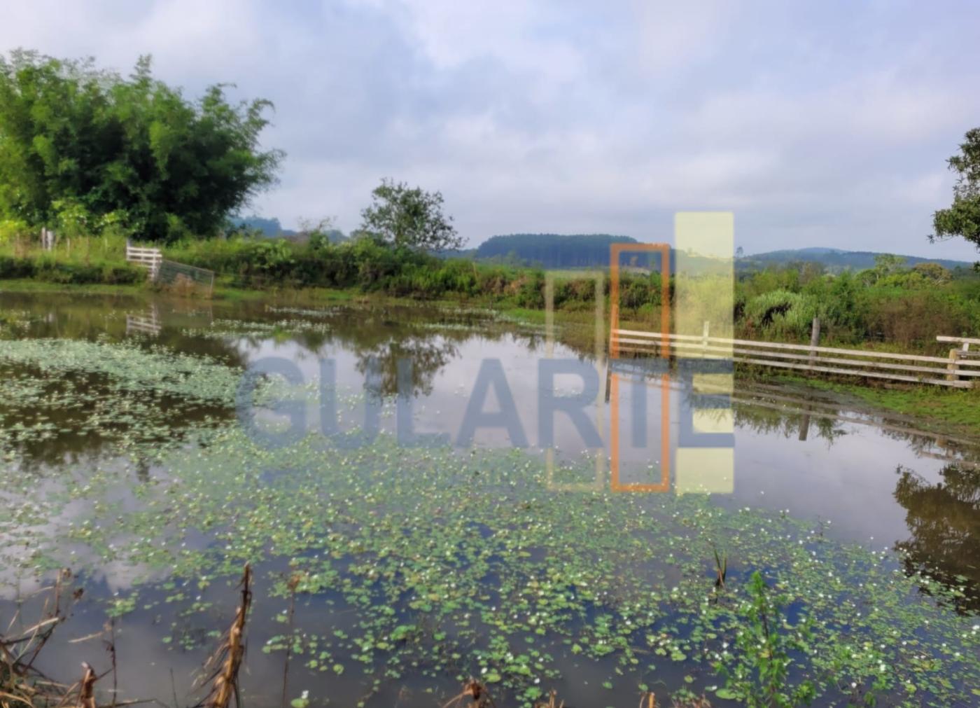 Fazenda, 62 hectares - Foto 6