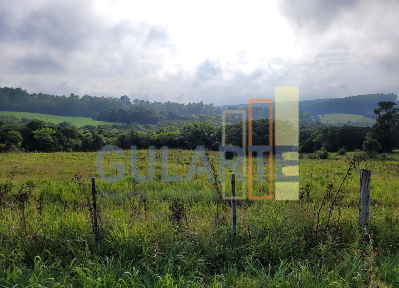 Fazenda, 62 hectares - Foto 9