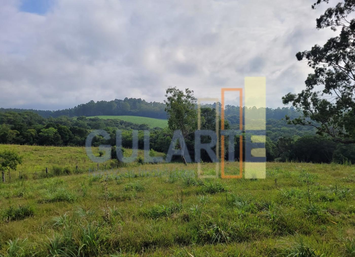 Fazenda, 62 hectares - Foto 10