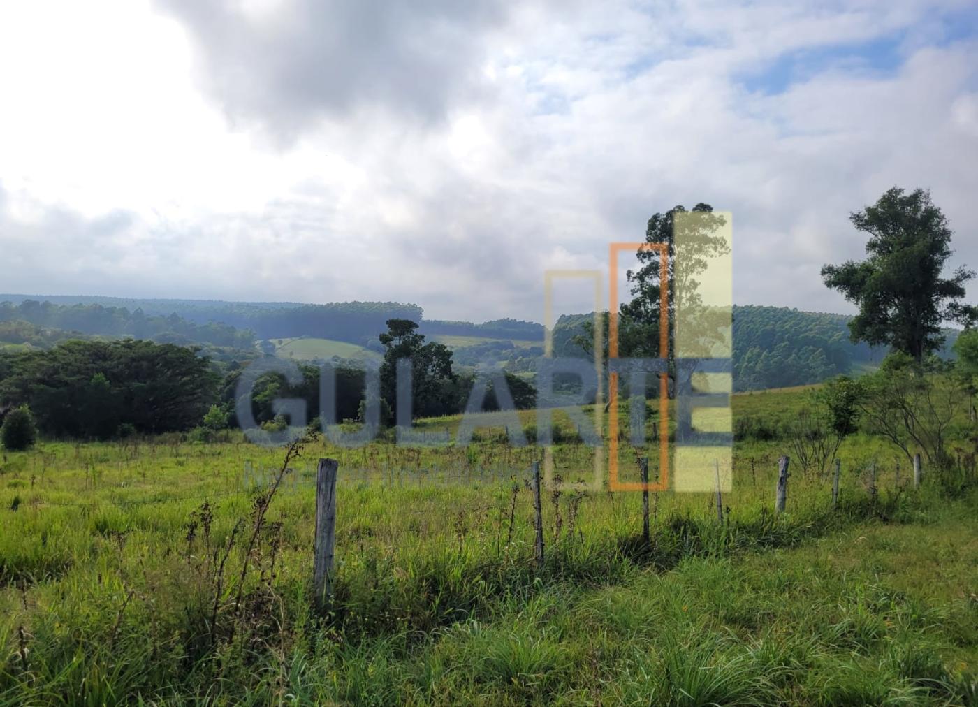 Fazenda, 62 hectares - Foto 8