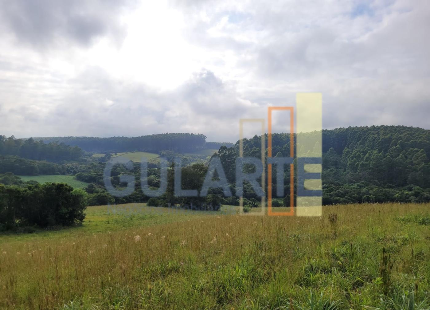 Fazenda, 62 hectares - Foto 12