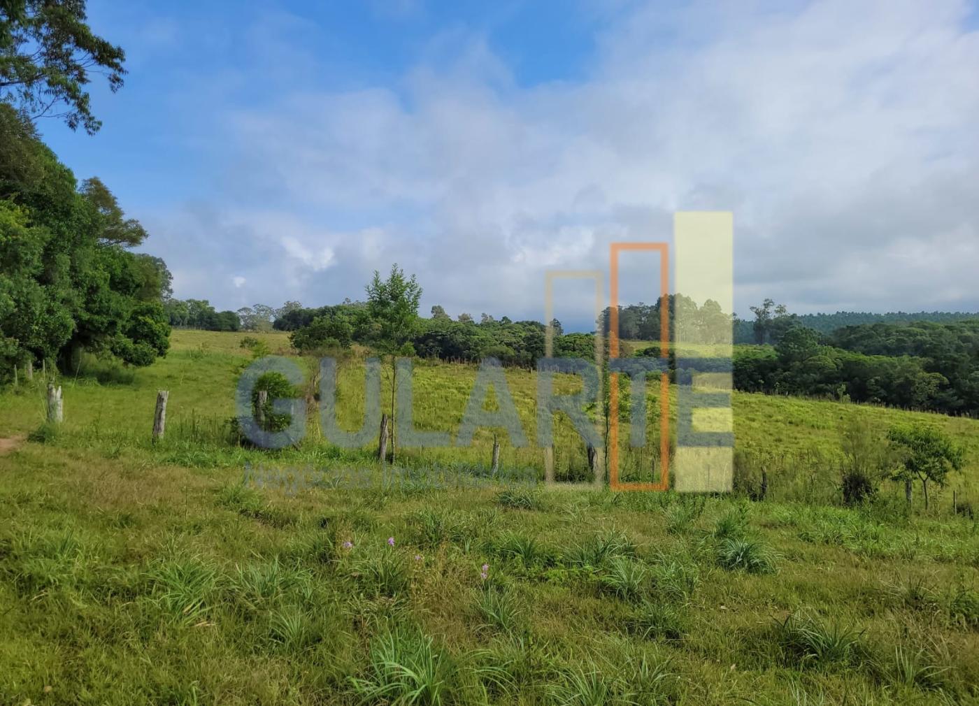 Fazenda, 62 hectares - Foto 11