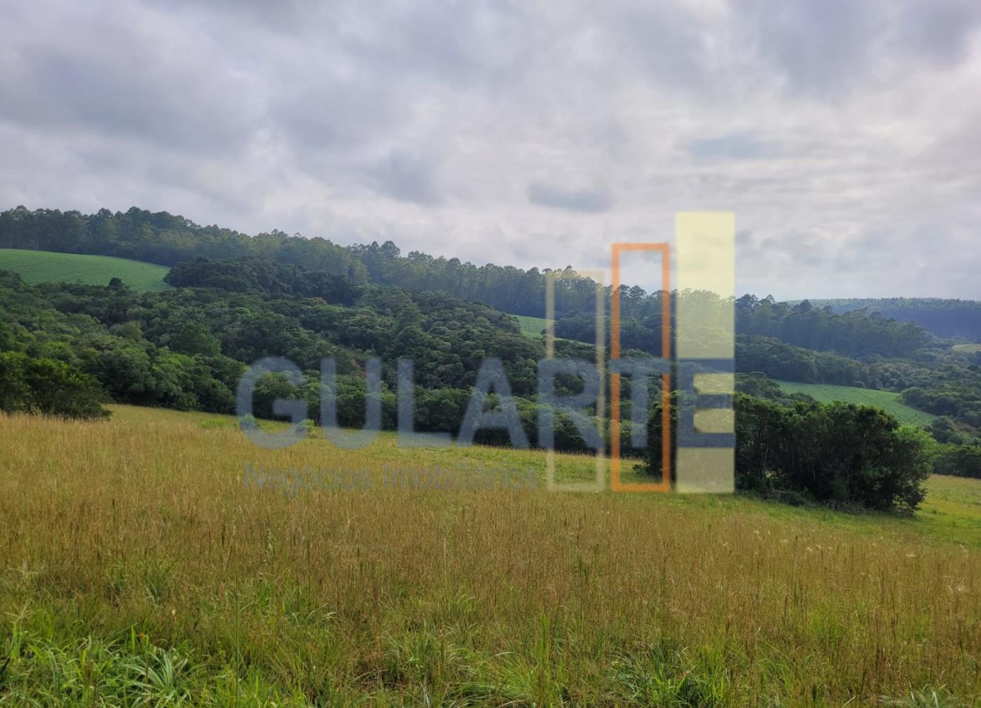 Fazenda, 62 hectares - Foto 15