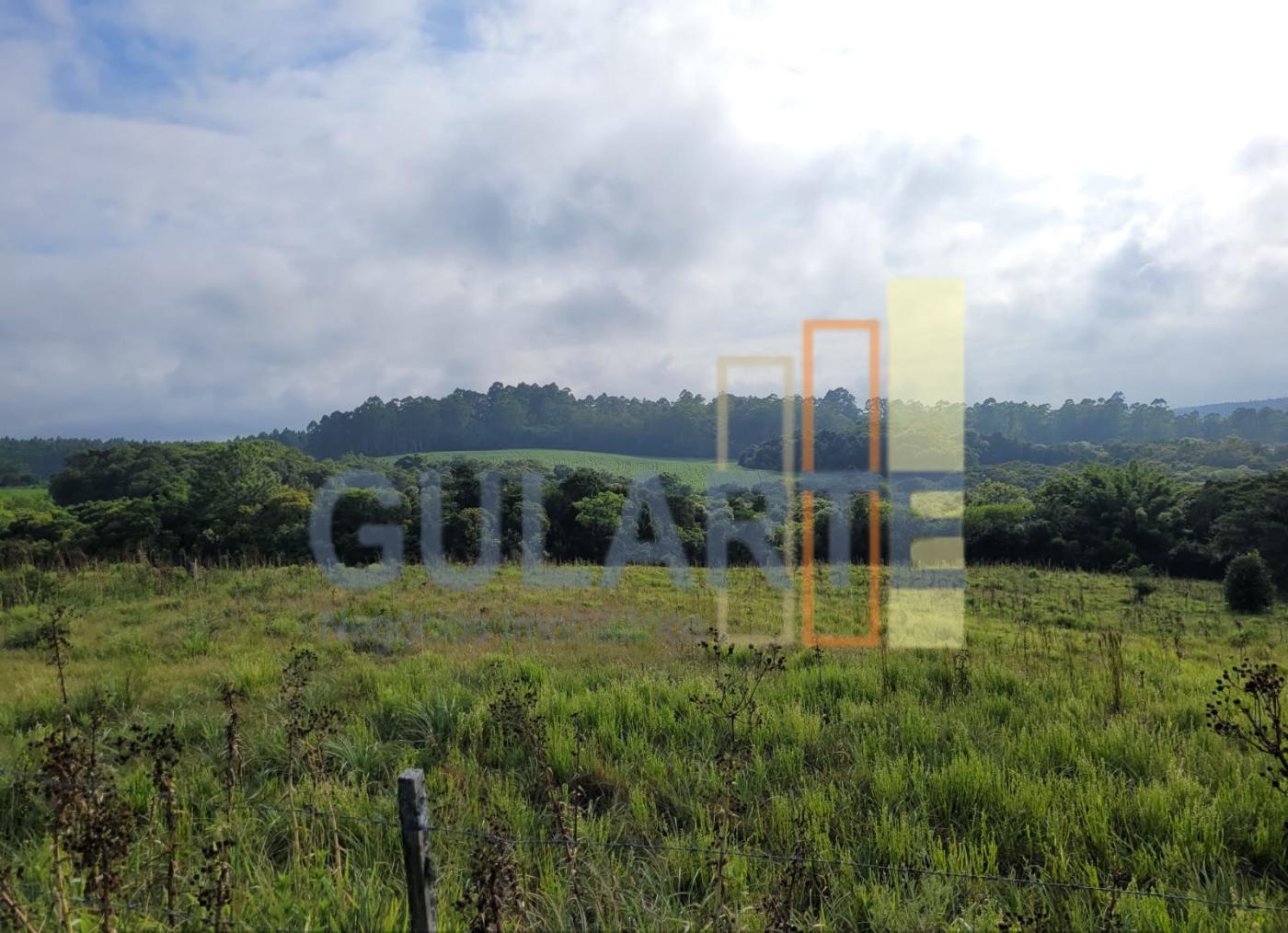 Fazenda, 62 hectares - Foto 13