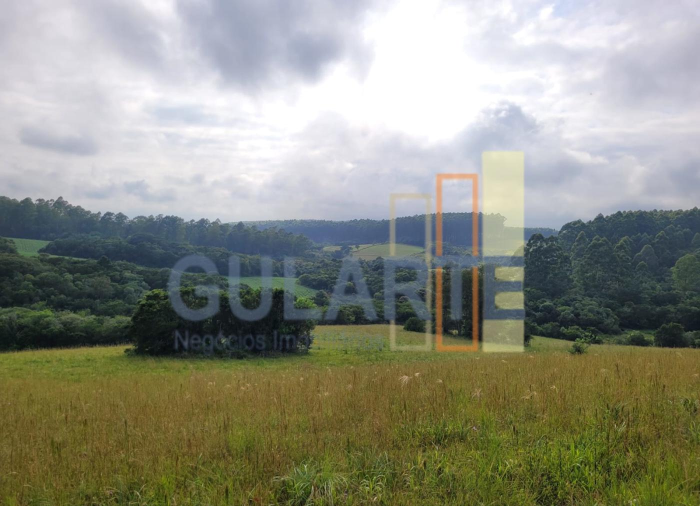 Fazenda, 62 hectares - Foto 14