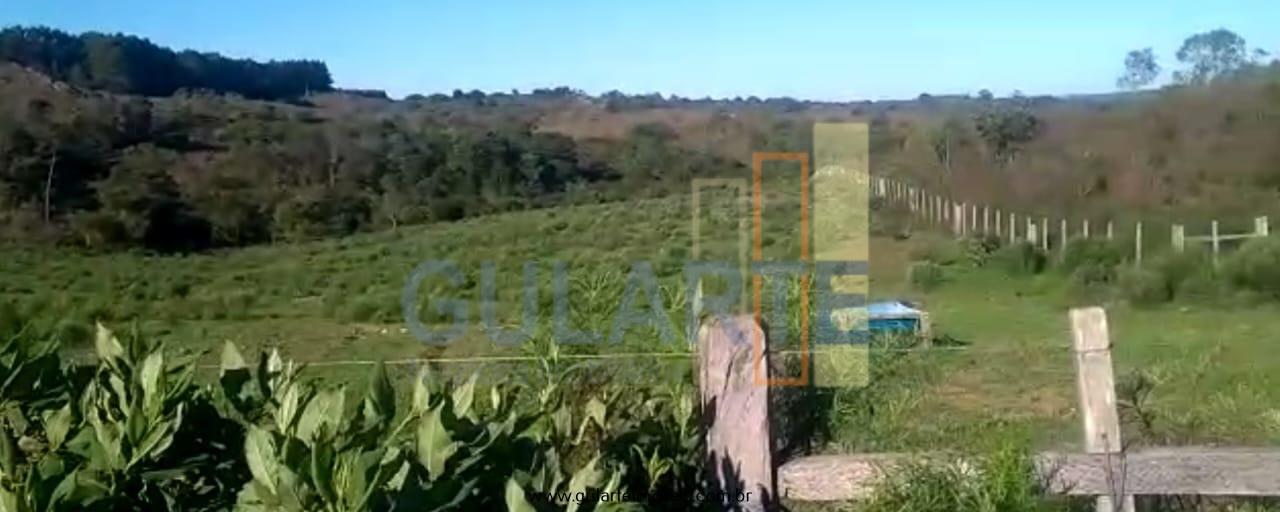 Fazenda à venda, 360m² - Foto 1