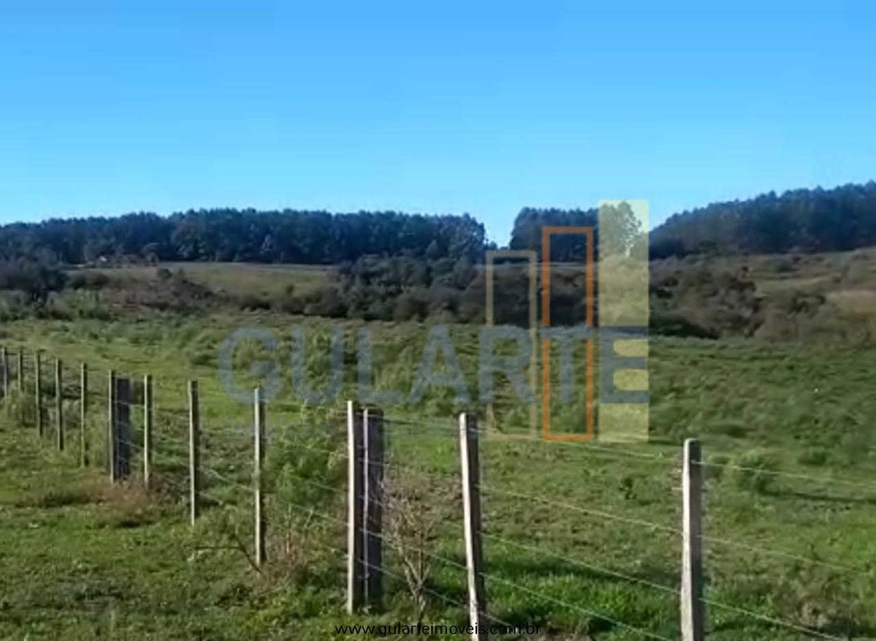 Fazenda à venda, 360m² - Foto 4