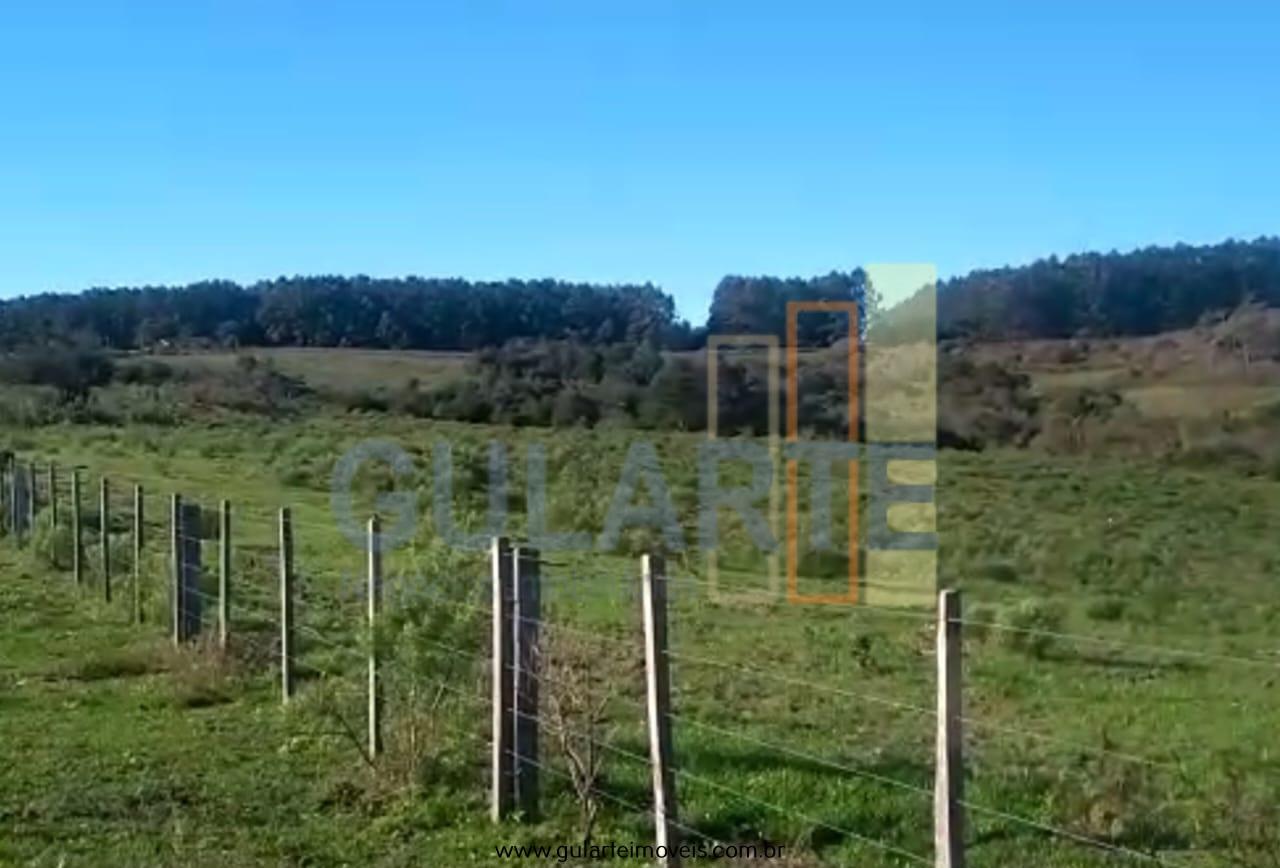 Fazenda à venda, 360m² - Foto 5