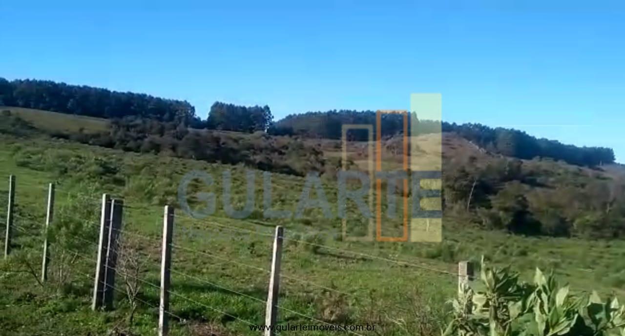 Fazenda à venda, 360m² - Foto 3