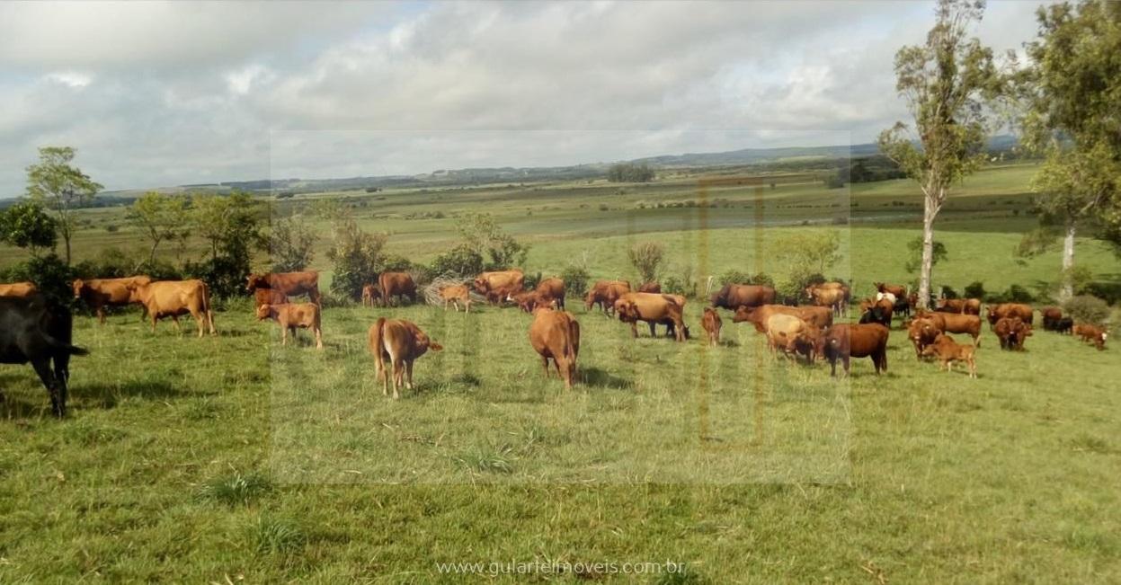 Fazenda à venda, 142m² - Foto 3