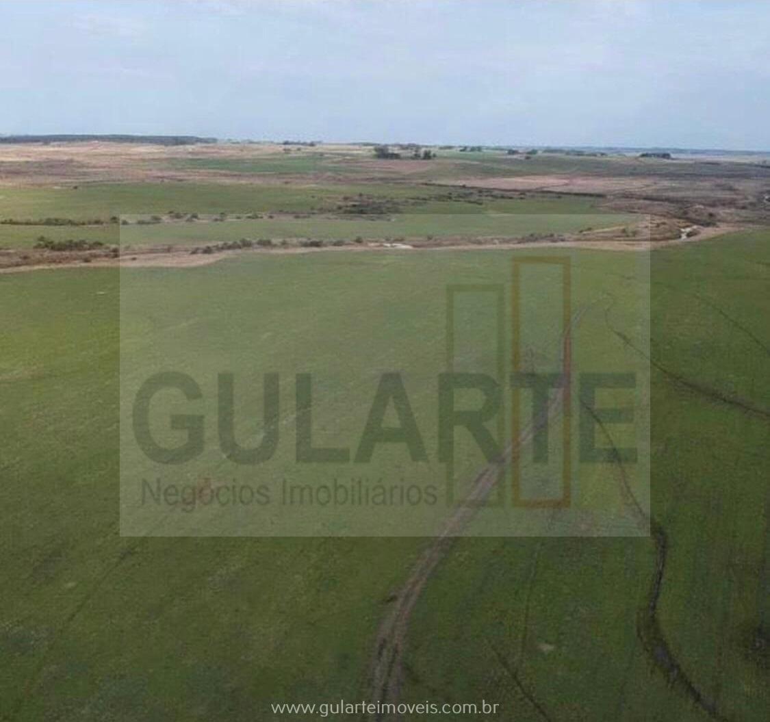 Fazenda à venda, 142m² - Foto 1