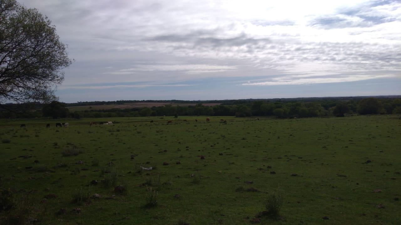 Fazenda à venda, 2214m² - Foto 1