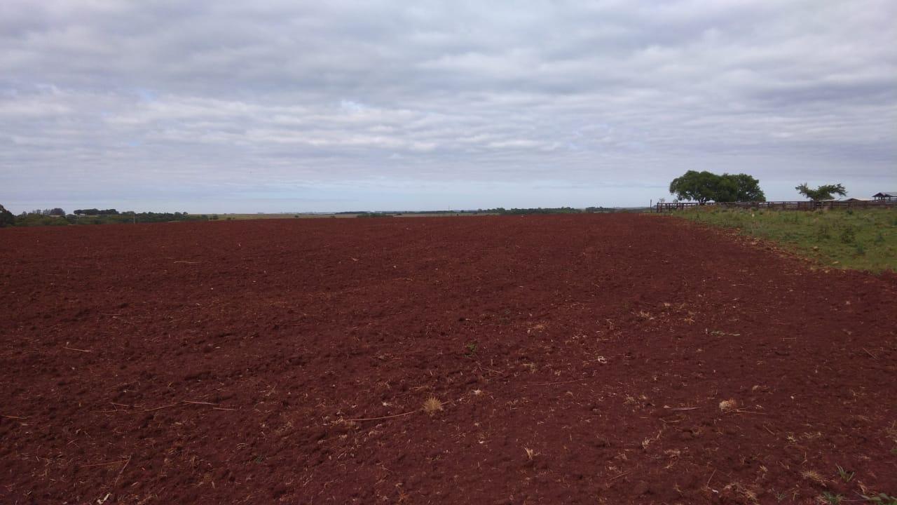 Fazenda à venda, 2214m² - Foto 3