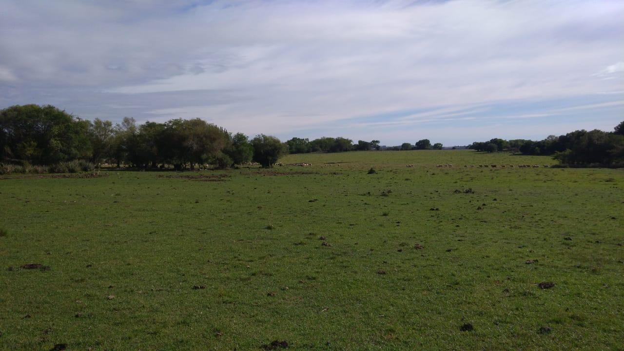 Fazenda à venda, 2214m² - Foto 2