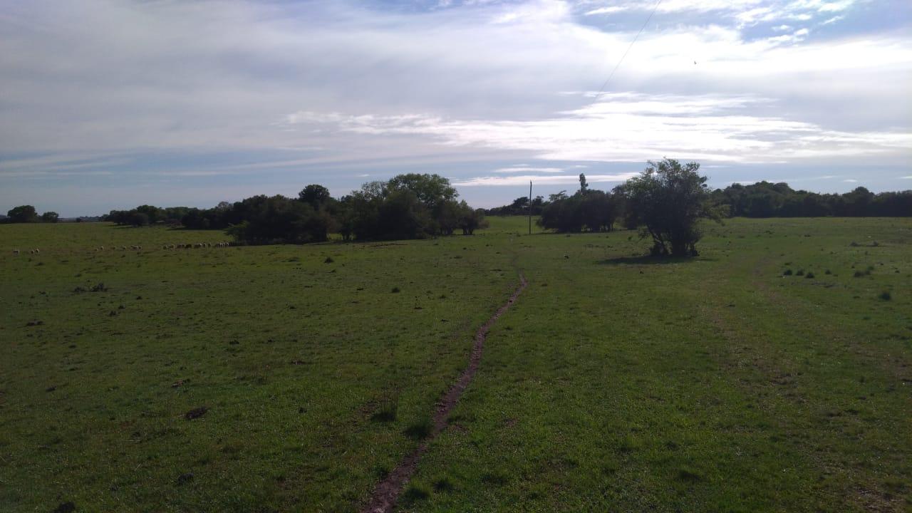 Fazenda à venda, 2214m² - Foto 6