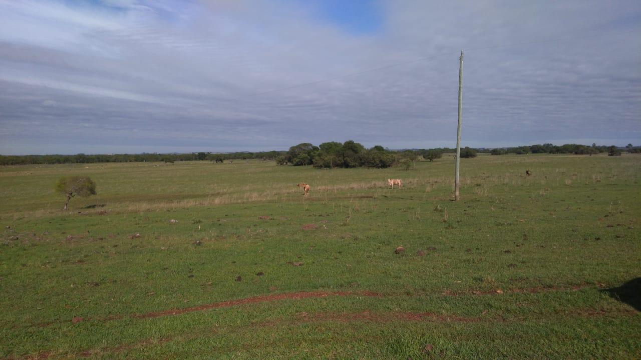 Fazenda à venda, 2214m² - Foto 5