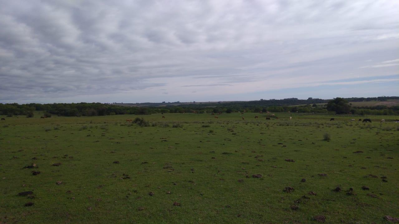 Fazenda à venda, 2214m² - Foto 4