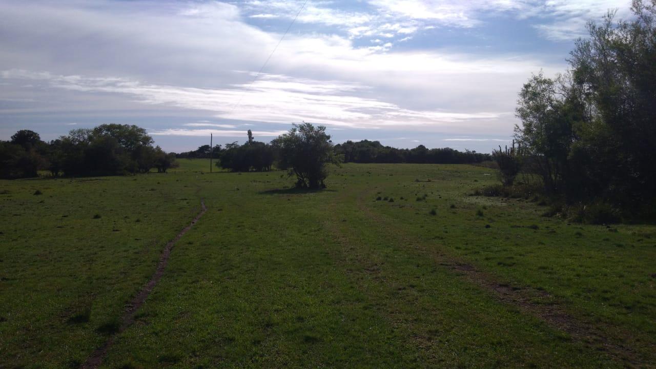 Fazenda à venda, 2214m² - Foto 7