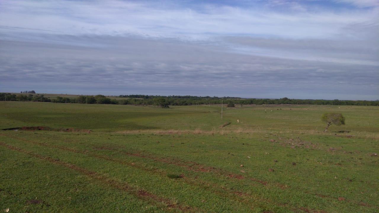 Fazenda à venda, 2214m² - Foto 9