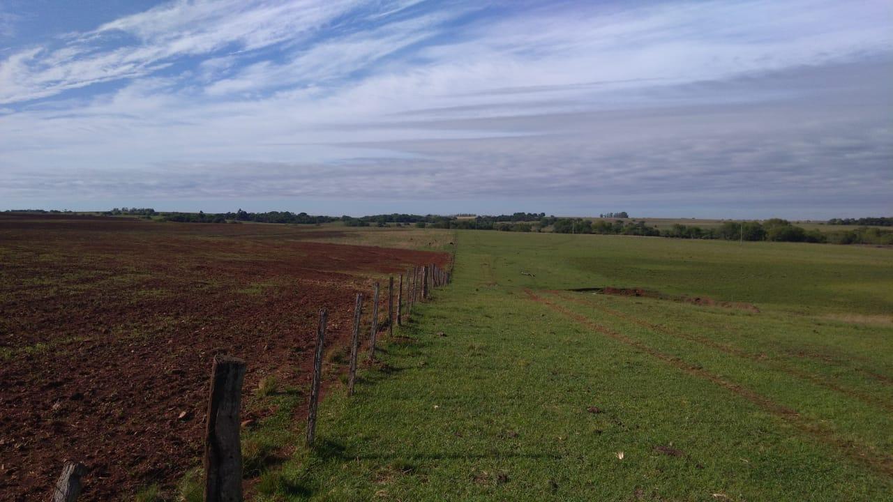 Fazenda à venda, 2214m² - Foto 8