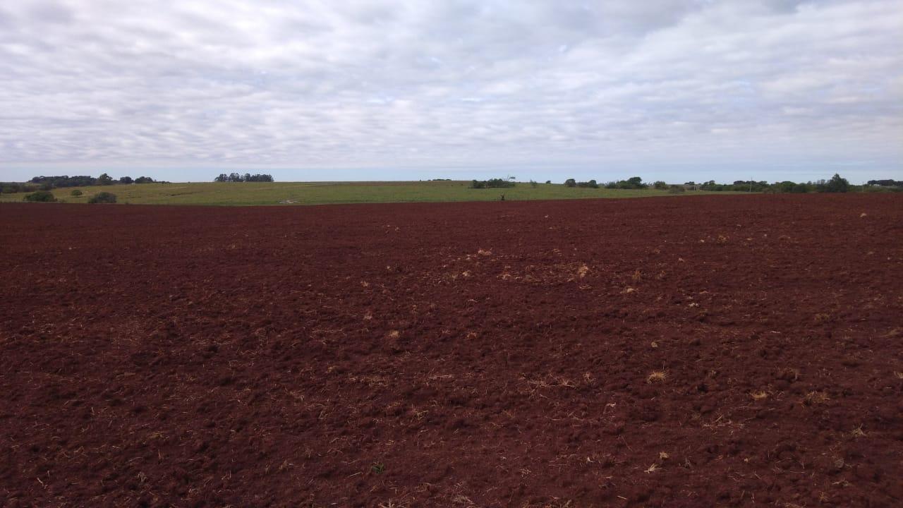 Fazenda à venda, 2214m² - Foto 10