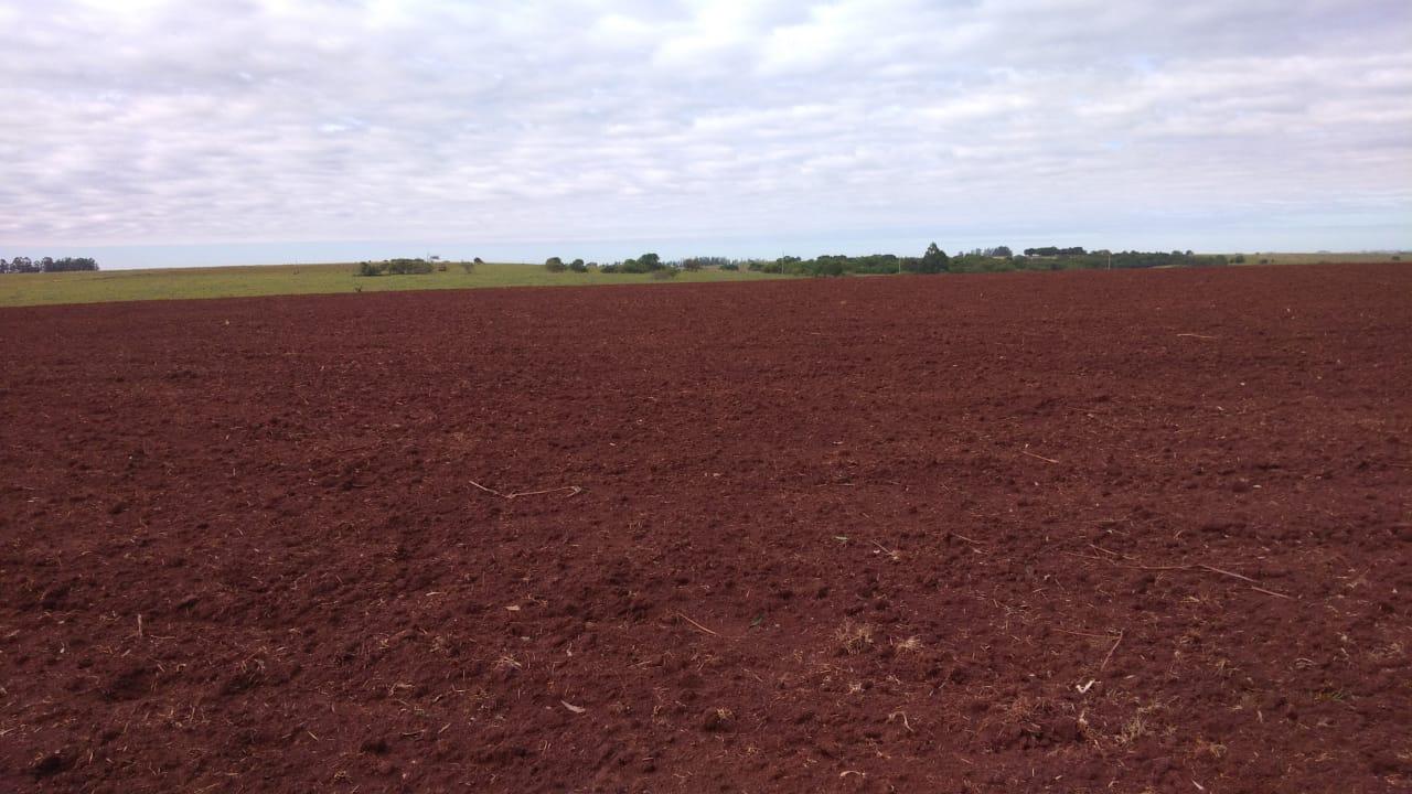Fazenda à venda, 2214m² - Foto 12