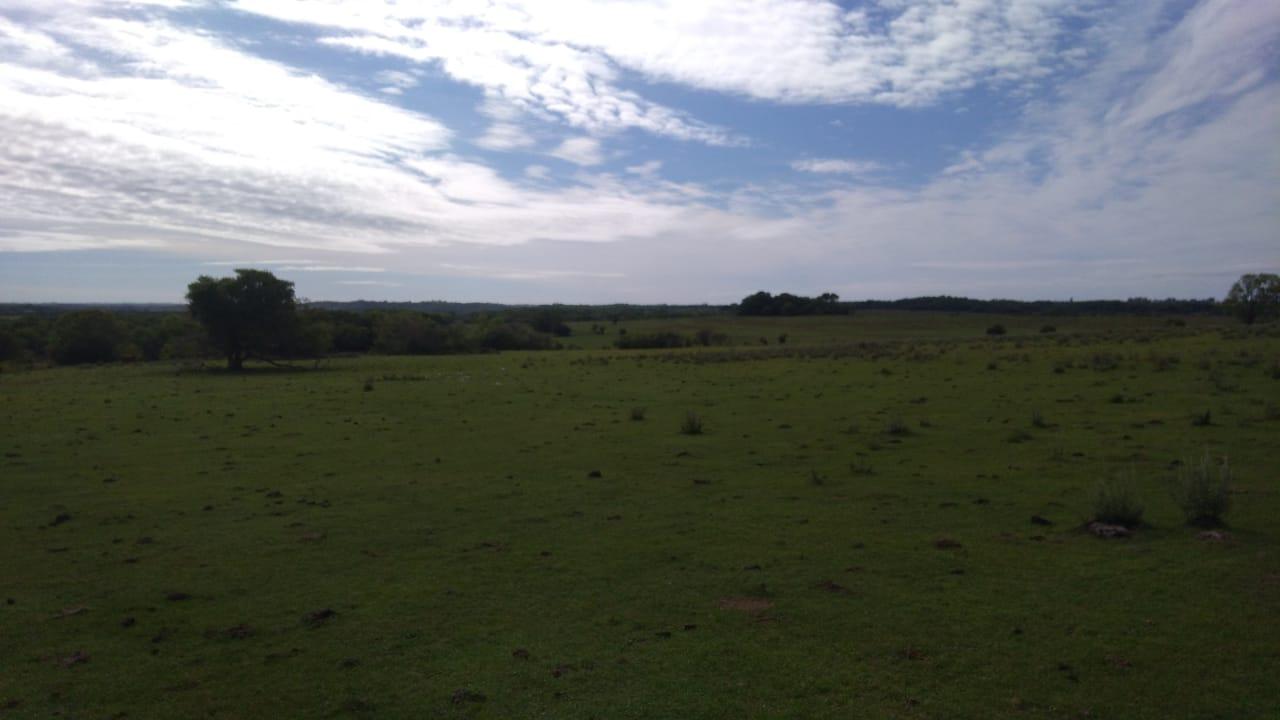 Fazenda à venda, 2214m² - Foto 17