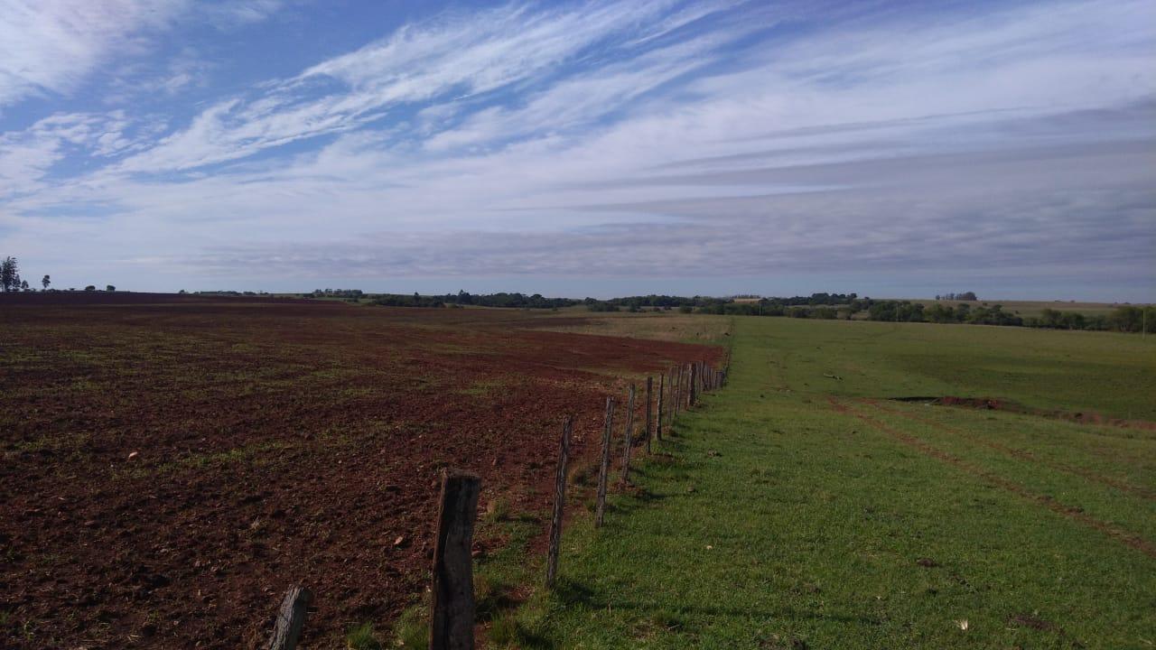 Fazenda à venda, 2214m² - Foto 14