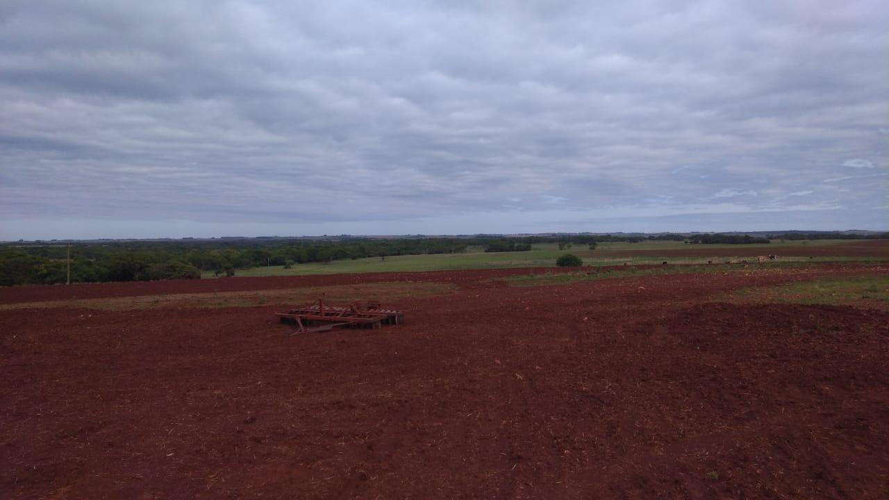 Fazenda à venda, 2214m² - Foto 16