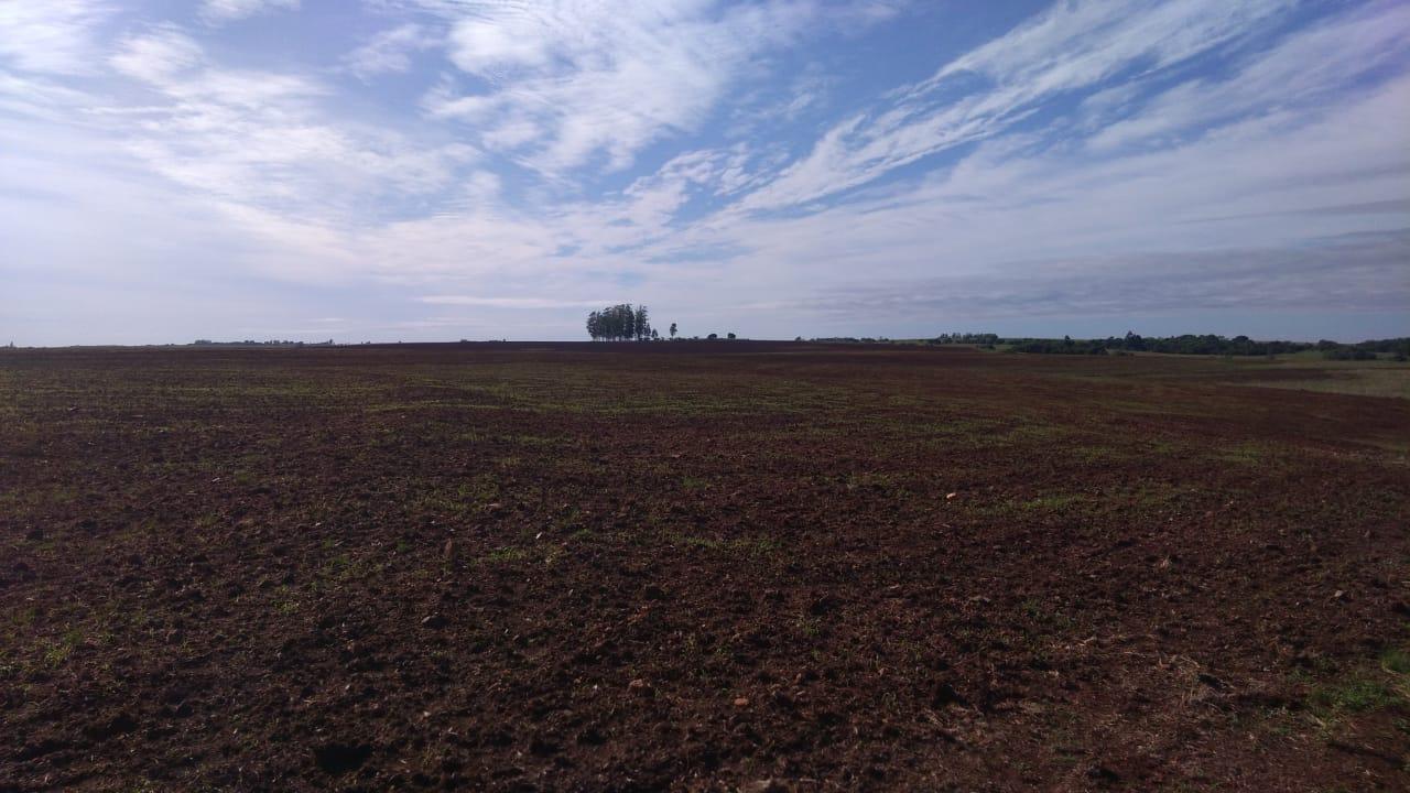 Fazenda à venda, 2214m² - Foto 15