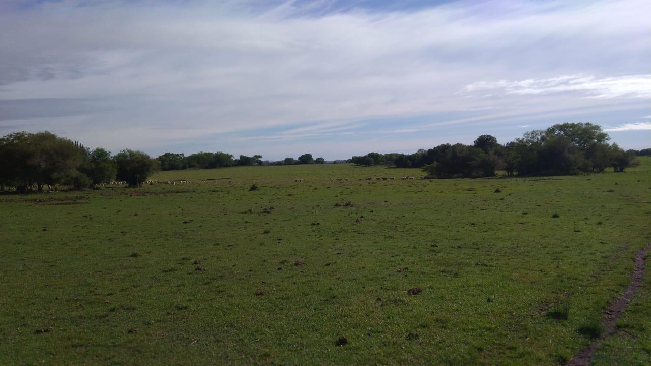 Fazenda à venda, 2214m² - Foto 13