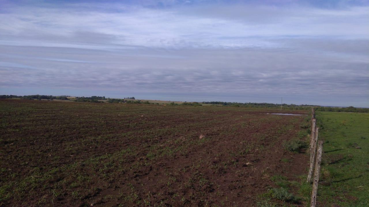 Fazenda à venda, 2214m² - Foto 20