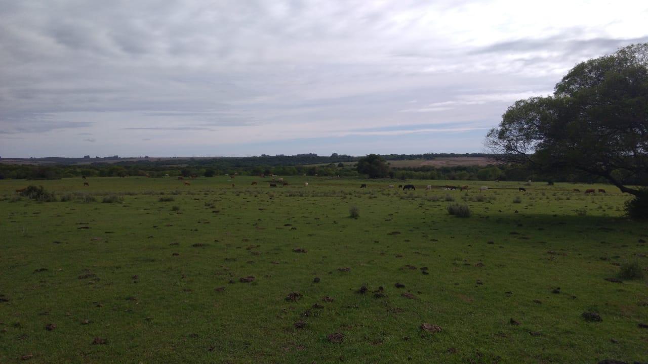 Fazenda à venda, 2214m² - Foto 18