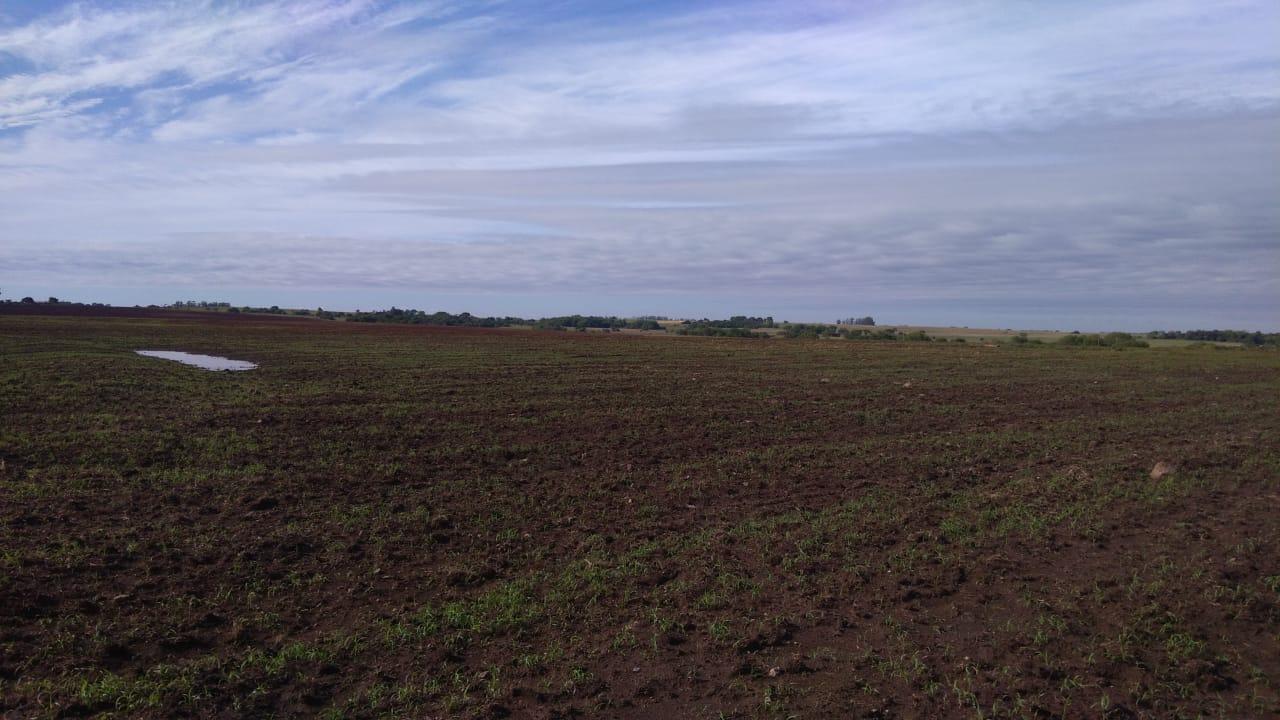 Fazenda à venda, 2214m² - Foto 22
