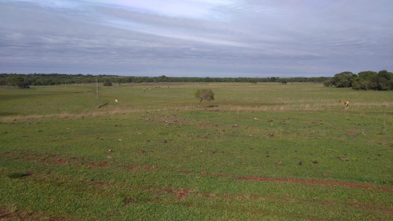 Fazenda à venda, 2214m² - Foto 19