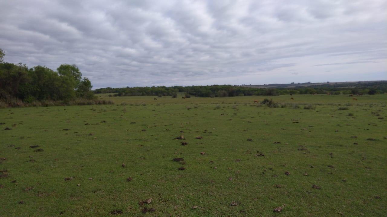 Fazenda à venda, 2214m² - Foto 21
