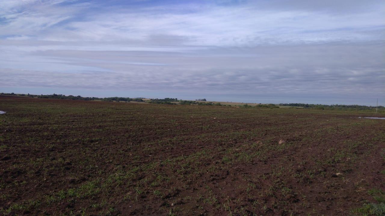 Fazenda à venda, 2214m² - Foto 24