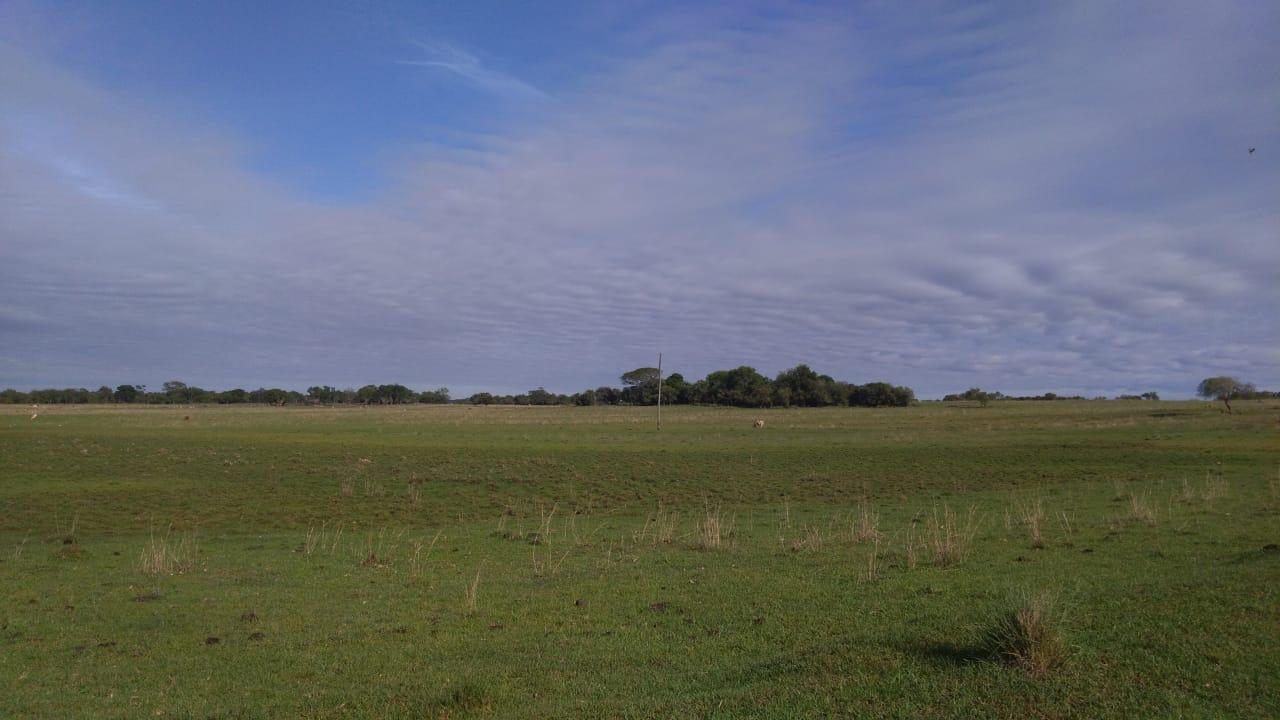 Fazenda à venda, 2214m² - Foto 25