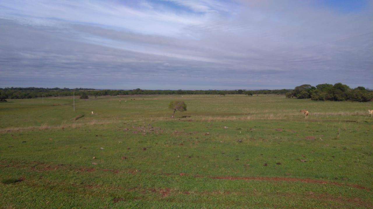 Fazenda à venda, 2214m² - Foto 27