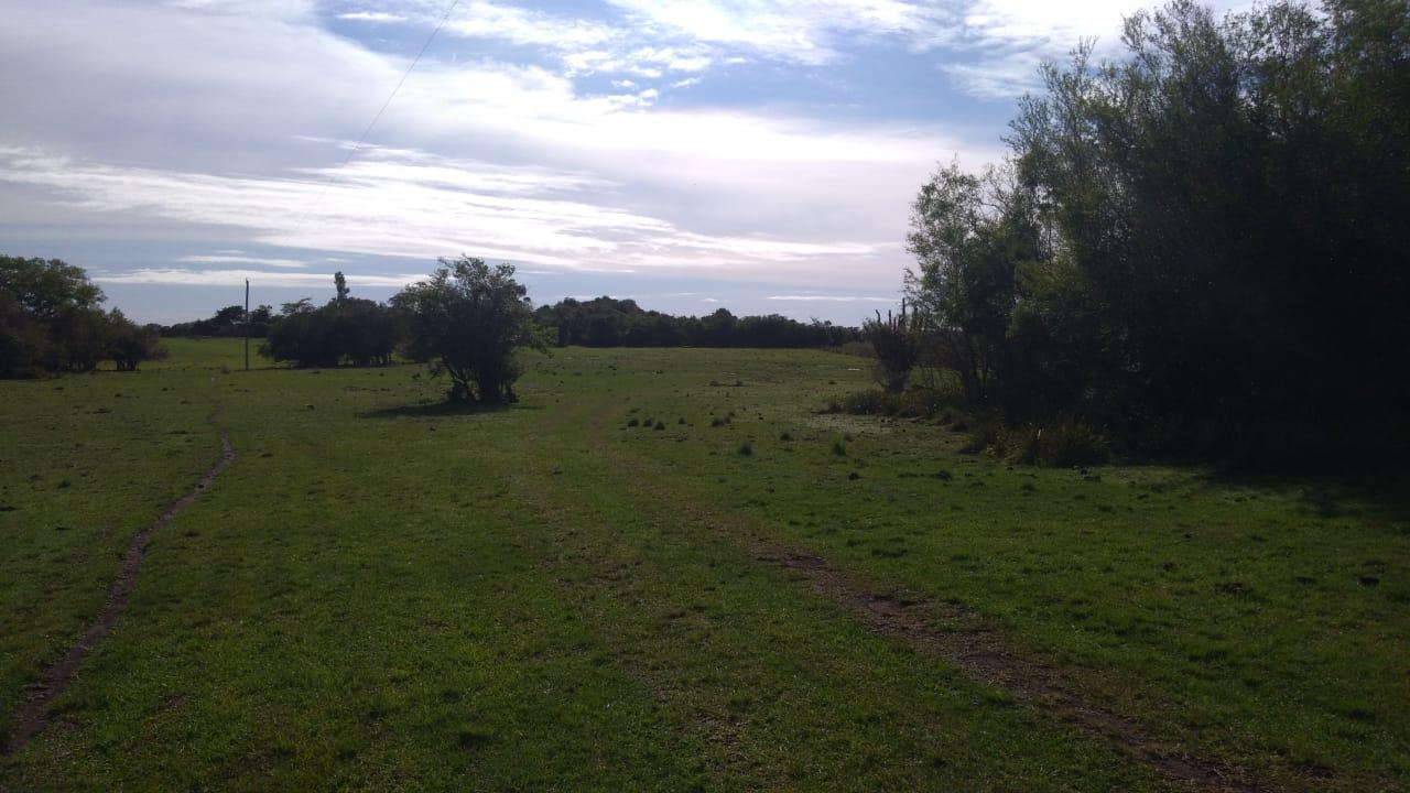 Fazenda à venda, 2214m² - Foto 23