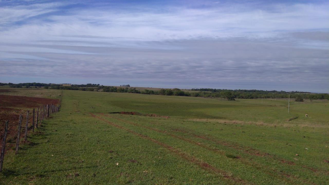 Fazenda à venda, 2214m² - Foto 29