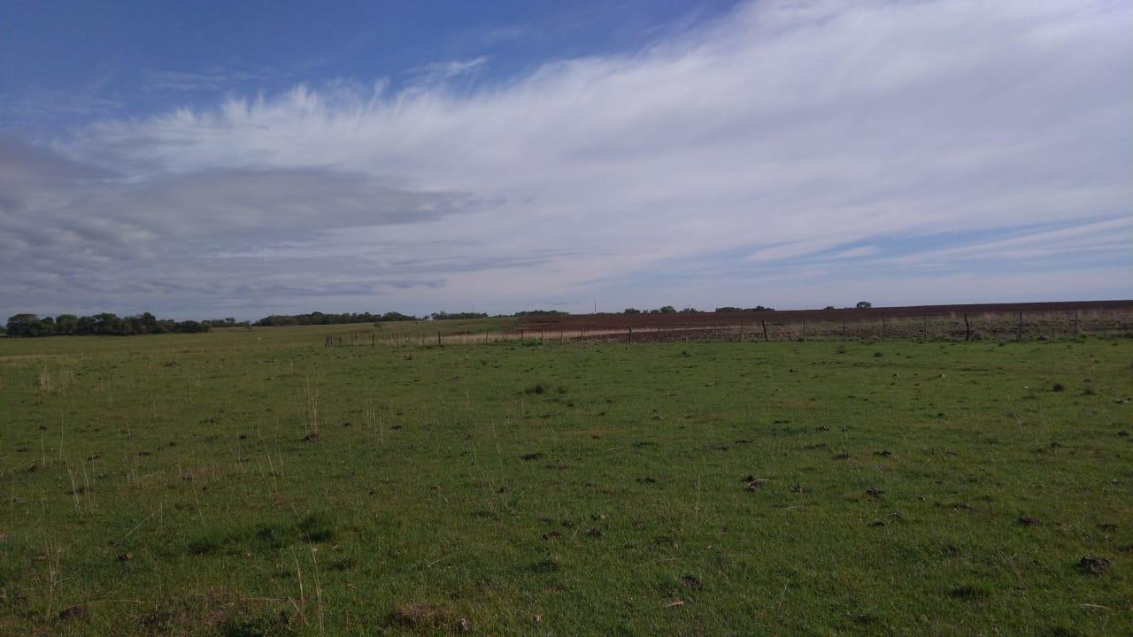 Fazenda à venda, 2214m² - Foto 30
