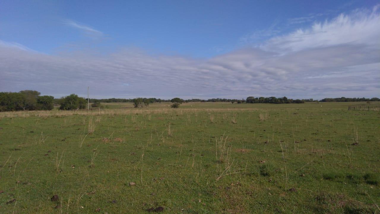 Fazenda à venda, 2214m² - Foto 33