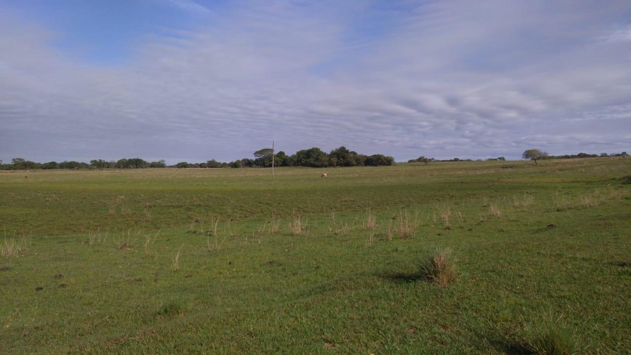Fazenda à venda, 2214m² - Foto 31