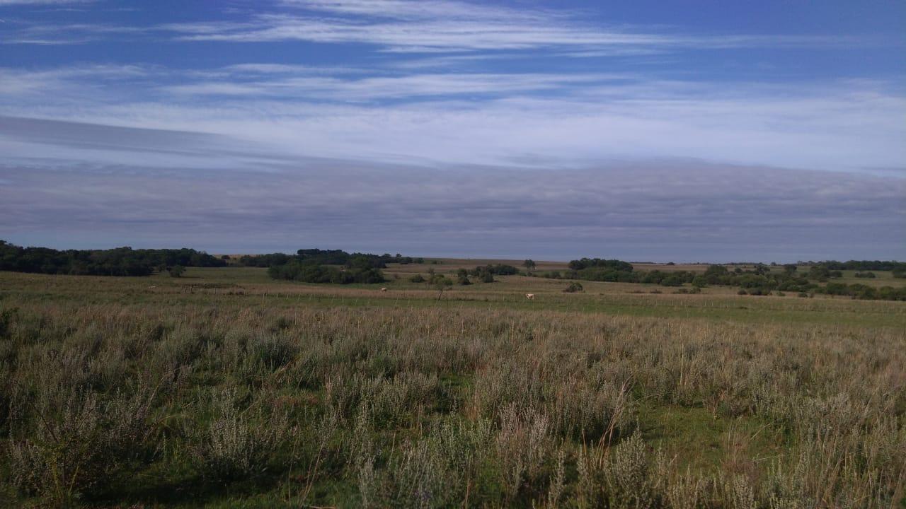 Fazenda à venda, 2214m² - Foto 36