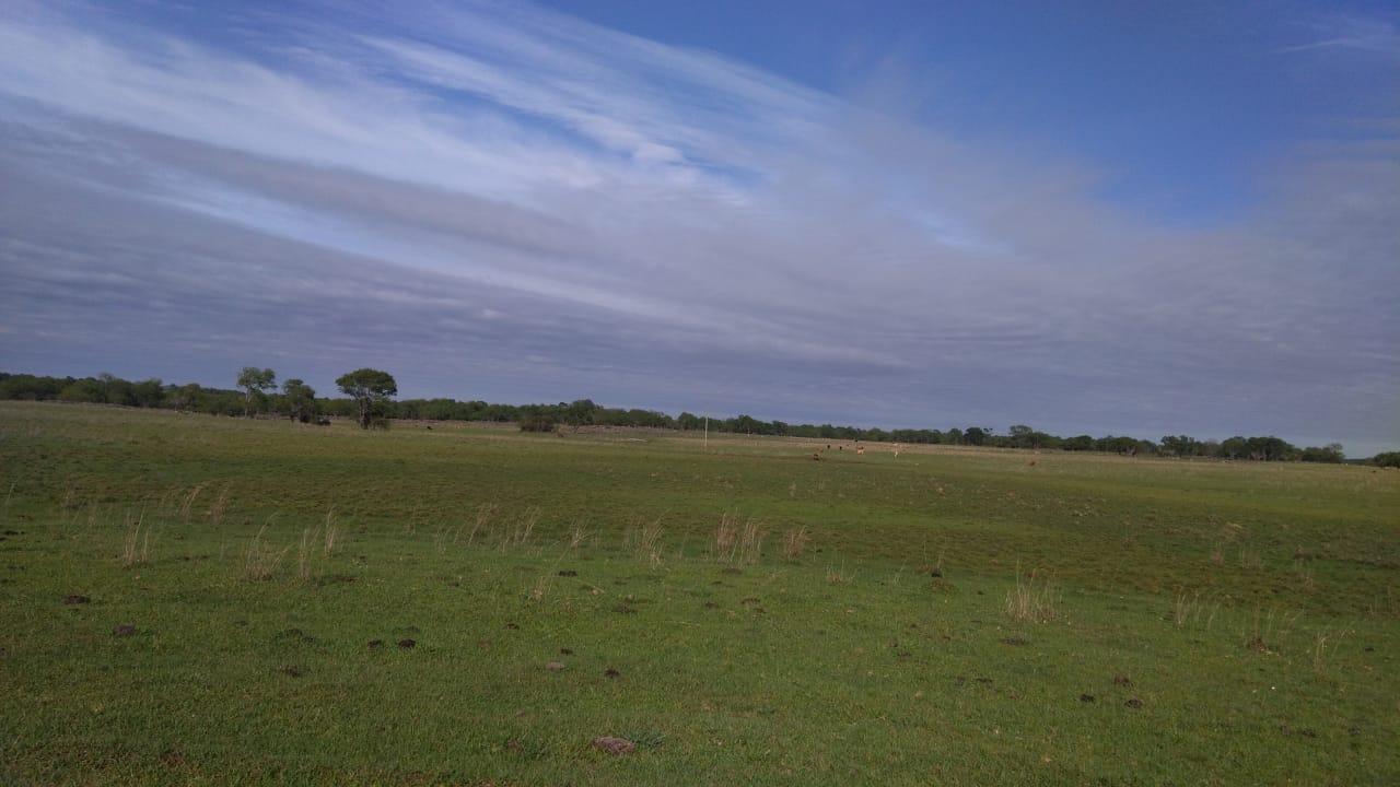 Fazenda à venda, 2214m² - Foto 37