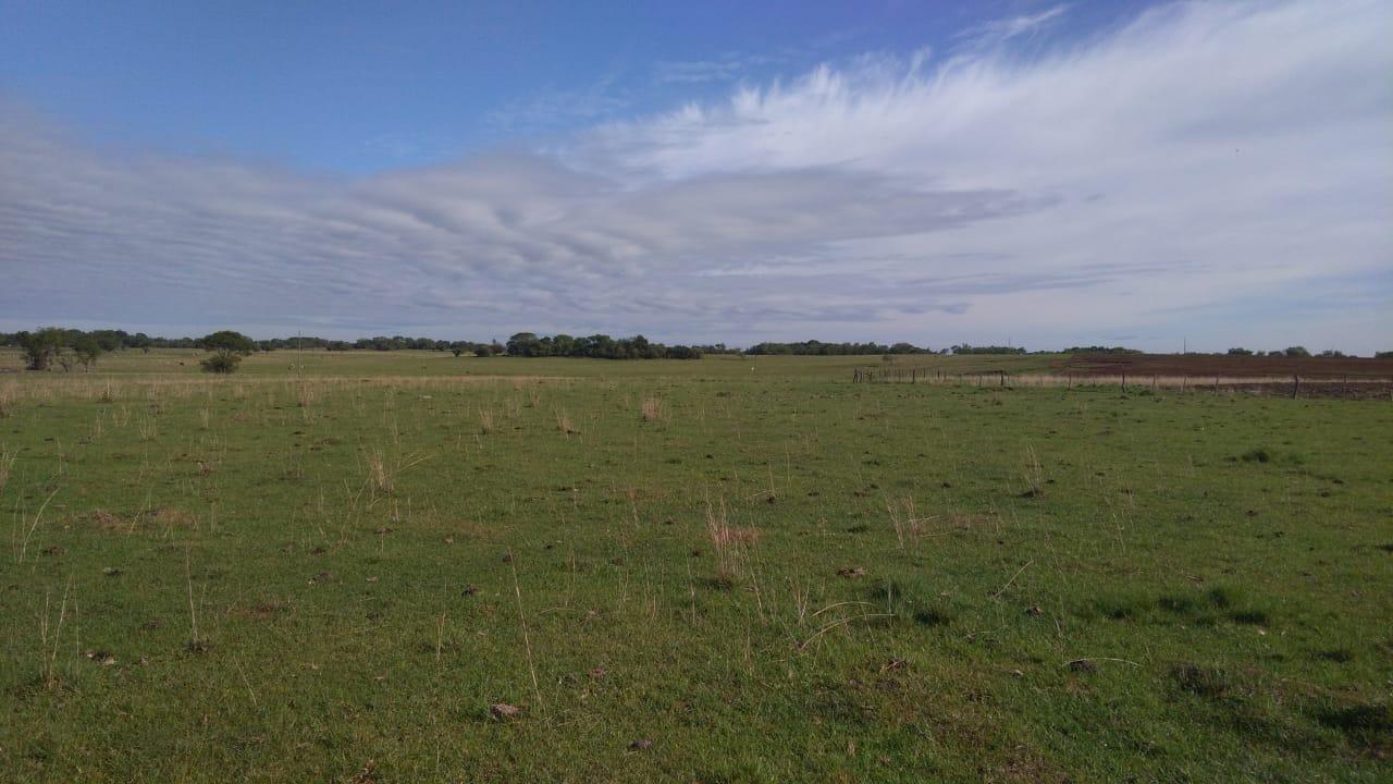 Fazenda à venda, 2214m² - Foto 34
