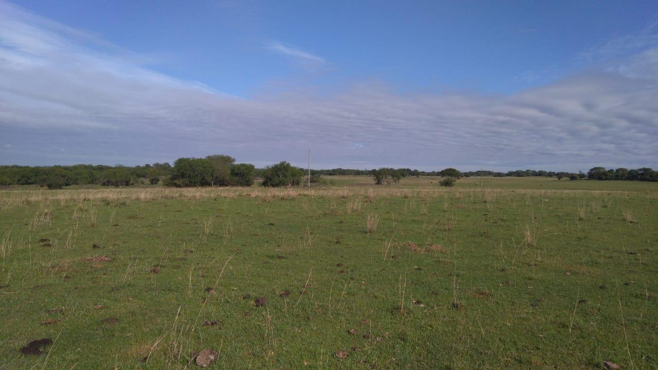 Fazenda à venda, 2214m² - Foto 38